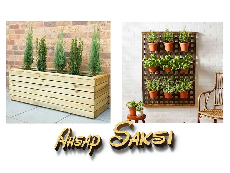 Saksı